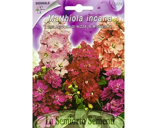 Семена Эрисимум Wallflower of NIZZA in MIX