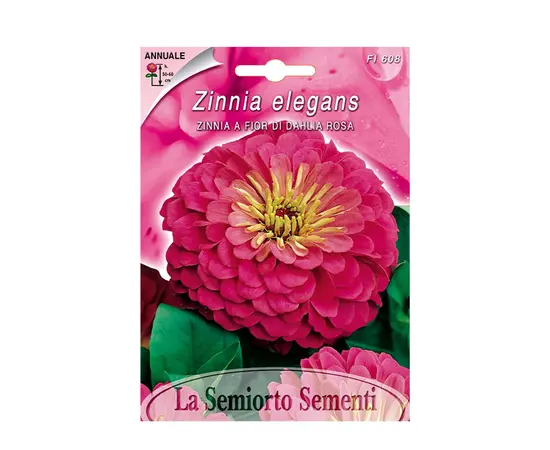 Семена циннии Zinnia a Fior di Dahlia ROSA