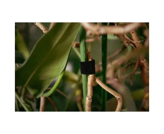 Лента для растений 9.5x5 rolka BLACK