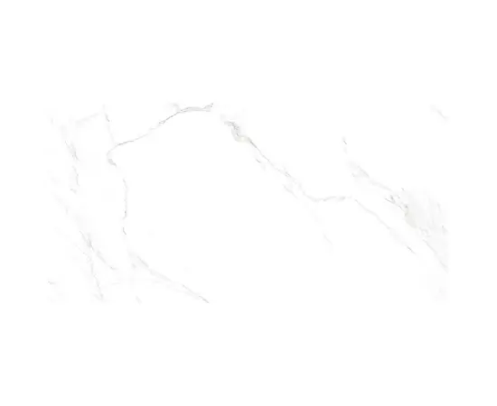 Керамогранит HALKON CERAMICAS S.A. 60X120 P NAOS BLANCO PL 9,5 R PRI.
