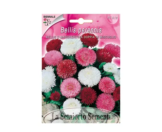 Семена Беллис Bellis o Margheritina DOPPIA IN MIX