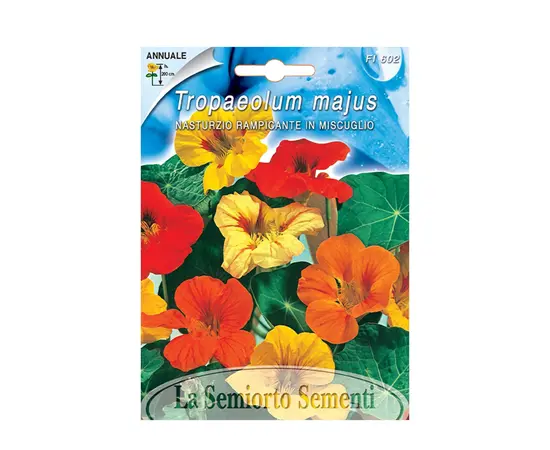 Nasturtium seeds Tropaleum or Nasturtium clim.IN MIX FI602-MAXIFlor