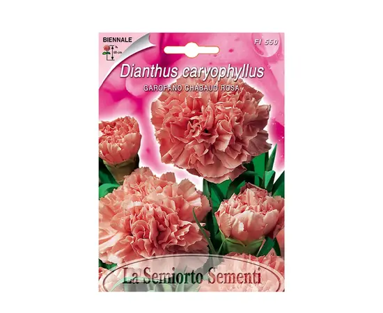 Семена гвоздики Carnation PINK