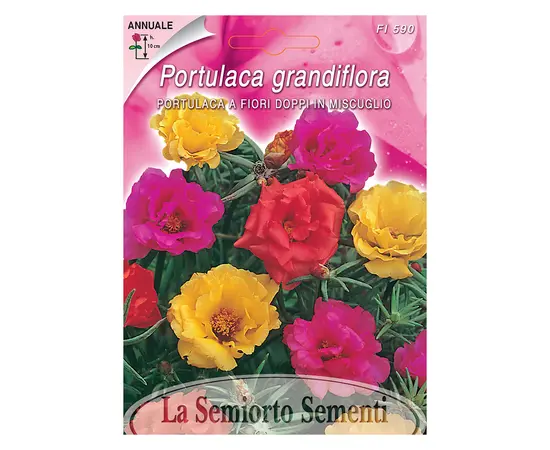 დანდურის თესლი Portulaca Grandiflora DOUBLE MIX FI590-MAXIFLOR