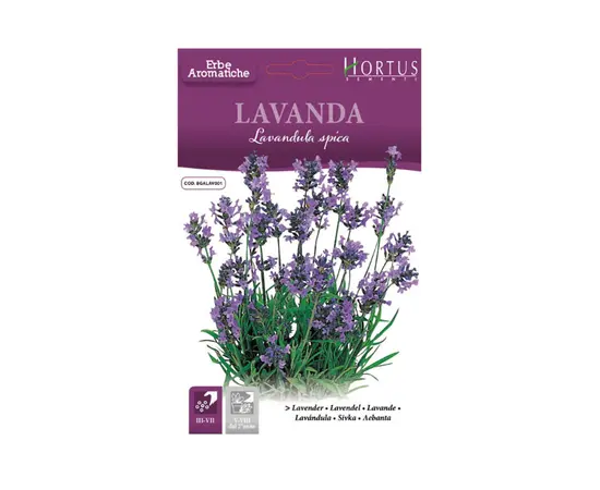 ლავანდას თესლი LAVANDA BTS 0.5 გრ