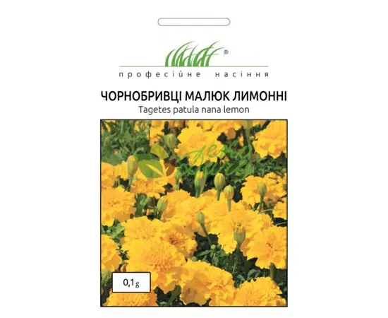 ზაფრანის თესლი ELITSORT Malish 0,1 გ