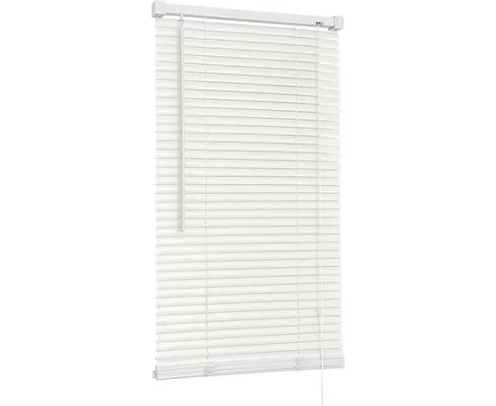 Horizontal blinds Delfa NO.RF-M-009 100x160 cm