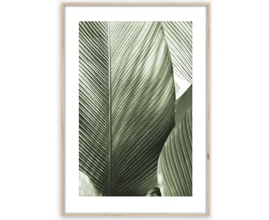 Picture in frame Styler Marco BR002 50X70 cm