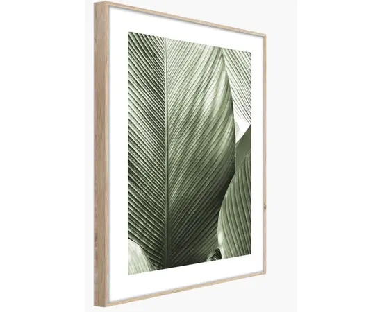 Picture in frame Styler Marco BR002 50X70 cm