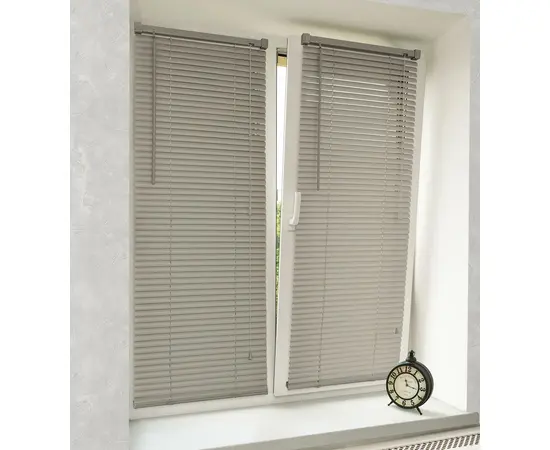 Horizontal blinds Delfa NO.RF-M-001 40x160 cm
