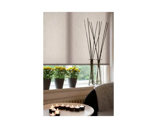 Roller shade Delfa СРШ-03-2281 160x170 cm