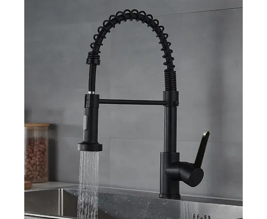 Kitchen faucet with pull-out spout Golden Rose GR34043B