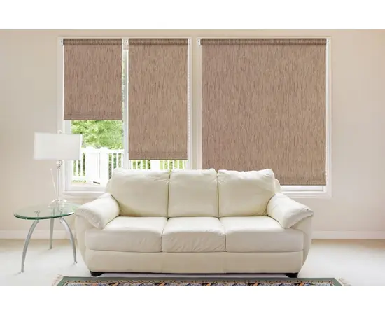 Roller shade Delfa СРШ-01М-2281 48x170 cm