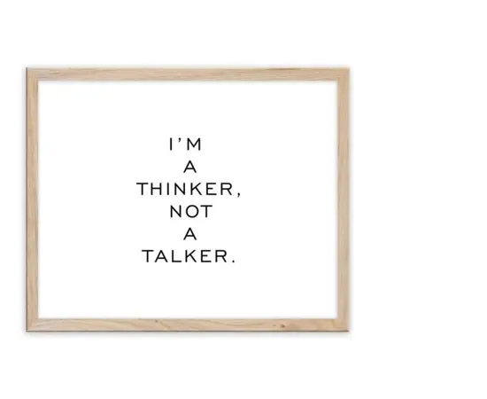 Picture in a frame Styler FP055 TALKER 30X40