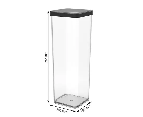 Container plastic Rotho 2L LOFT