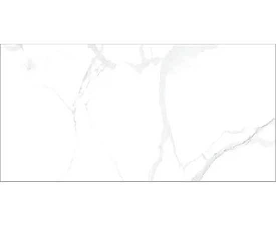 Porcelain tile VHP612146 60X120 cm