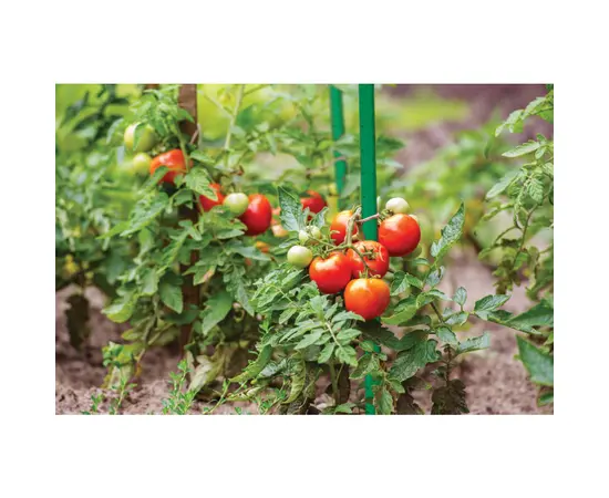 Garden pole Bradas 2x240 cm - steel, polyethylene coated