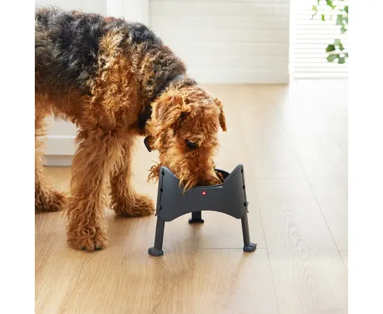 Dog food bowl Rotho 1,02 L