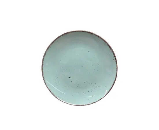 Plate for dinner CSSY001 26.5 cm