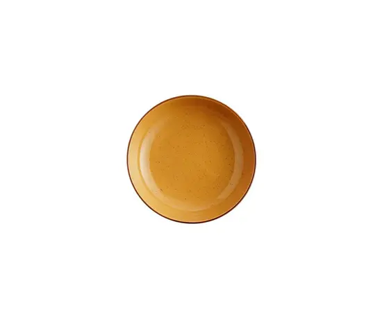 Plate for dinner LY101-3YELLOW 20.8X5.5 cm