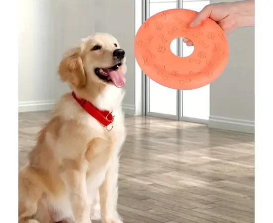 Toy frisbee Pic Chow 30 cm