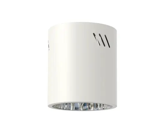 დაუნლაითი Milagro ML0481 E27 60W თეთრი