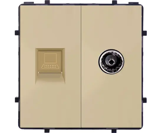 Socket Style Internet Socket CAT6 RJ45 TV Female gold