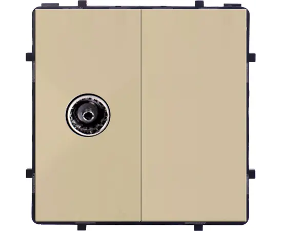 Socket Style Socket TV Female gold
