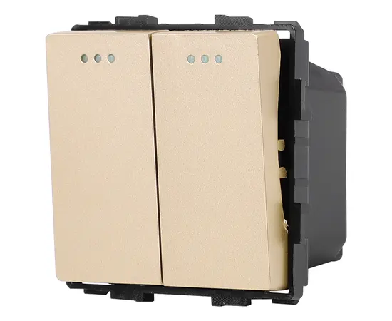Switch Socket Style Reverse 2 2G-2W gold