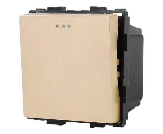 Switch Socket Style Reverse 1 1G-2W gold