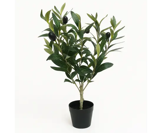 Decorative olive tree in a pot