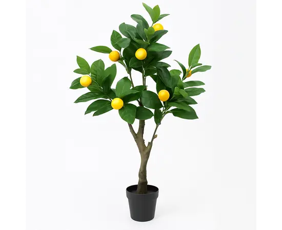Decorative lemon tree in a pot