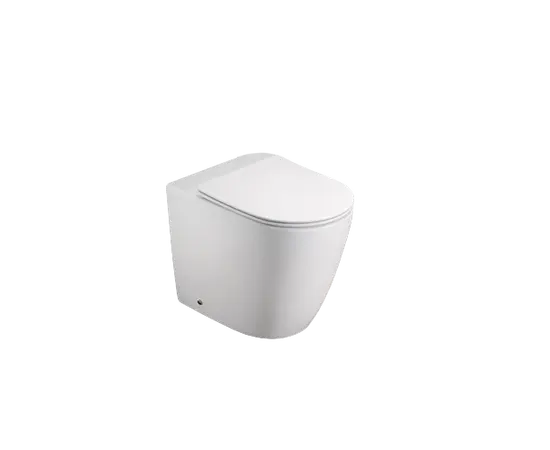 Toilet floor-standing Pate LB2979 Glossy white