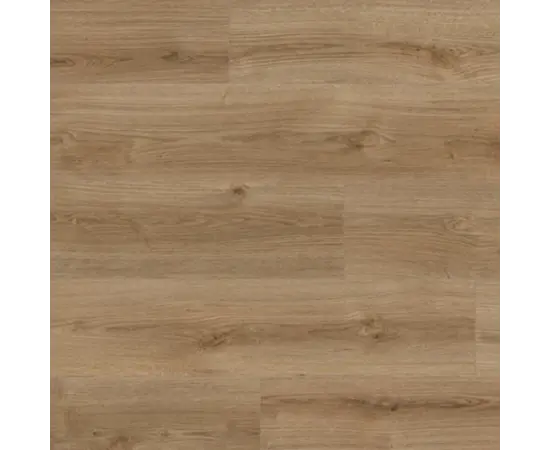 ლამინატი Kaindl NT მუხა Evoke Trend 1383x193x12 AC5/33 4V
