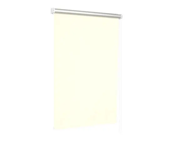Roller shade Delfa СРШ-01М-7900 48x170 cm