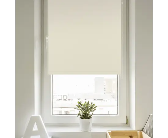 Roller shade Delfa СРШ-01М-7900 48x170 cm