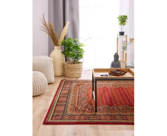 Ковер Dywilan  POLONIA BARON BURGUND 2087 bC1 170x235 100% WOOL