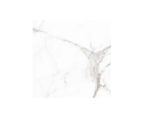 Tile Halcon Ceramicas Palatina BLANKO BRILLO 31,6*60