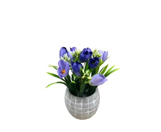 ყვავილი დეკორატიული ქოთანში