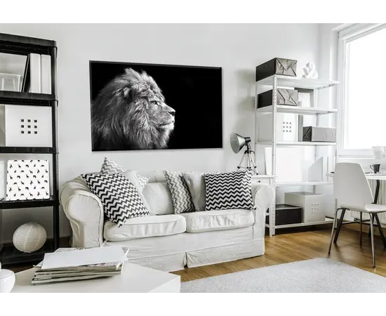 სურათი შუშაზე Styler Lion GL104 70X100 სმ