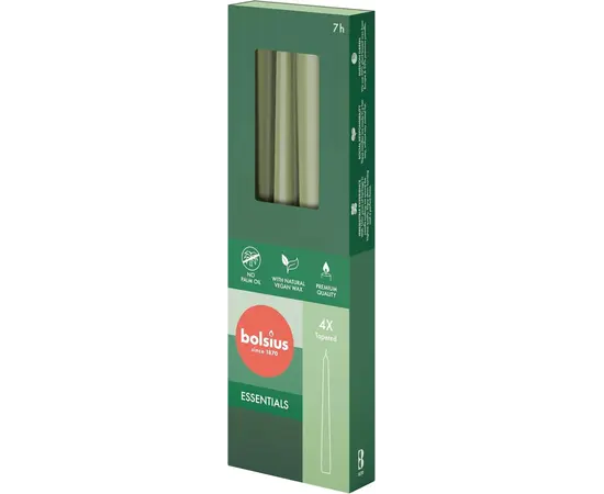 Cone candle Bolsius Fresh olive 245/24 mm 4 pcs Cone candle Bolsius Fresh olive 245/24 mm 4 pcs