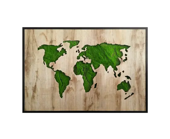 სურათი Styler GD003 GREEN MAP 70x100 სმ