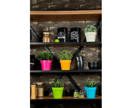 პლასტმასის ქოთანი Aleana Gamma 26x22სმ კაკაო 7 L პლასტმასის ქოთანი Aleana Gamma 26x22სმ კაკაო 7 L