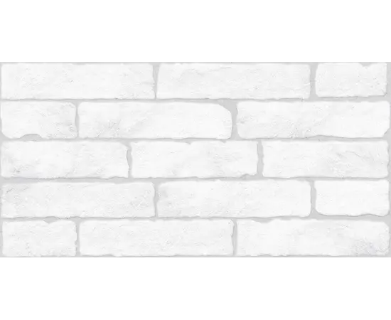კერამოგრანიტი Anka Seramik RUMELI WHITE 30X60სმ