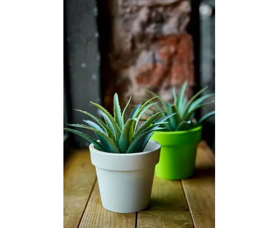 პლასტმასის ქოთანი Aleana Gamma 32x27სმ თეთრი ვარდი 12 L პლასტმასის ქოთანი Aleana Gamma 32x27სმ თეთრი ვარდი 12 L