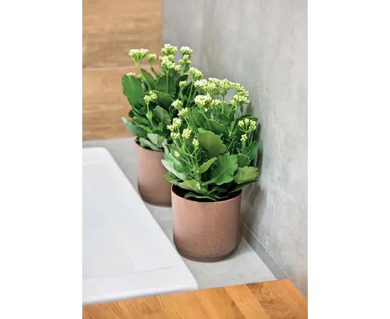 ქოთანი ყვავავილის FORM PLASTIC Satina Eco 20 ნატურალური ხე 4383-078 ქოთანი ყვავავილის FORM PLASTIC Satina Eco 20 ნატურალური ხე 4383-078