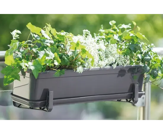 დასადგამი ქოთნის FORM PLASTIC Venus Mat 50 ანტრაციტი დასადგამი ქოთნის FORM PLASTIC Venus Mat 50 ანტრაციტი