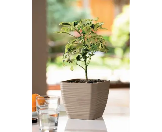 ქოთანი ყვავილის დასადგამით Form-Plastic Sahara petit 19 taupe ქოთანი ყვავილის დასადგამით Form-Plastic Sahara petit 19 taupe