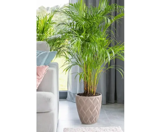 ქოთანი ყვავილის FORM PLASTIC Flow 40 taupe 4710-051 ქოთანი ყვავილის FORM PLASTIC Flow 40 taupe 4710-051