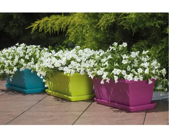 პლასტმასის ქოთანი ყვავილებისთვის FORM PLASTIC 0385-010 Box Gala 60 ტერაკოტა პლასტმასის ქოთანი ყვავილებისთვის FORM PLASTIC 0385-010 Box Gala 60 ტერაკოტა